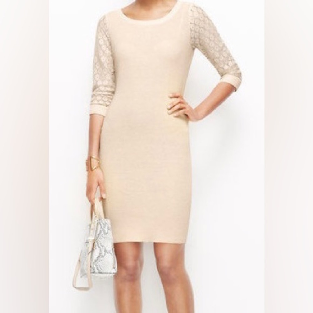Ann Taylor Beige / Cream Midi length Sweater Dress